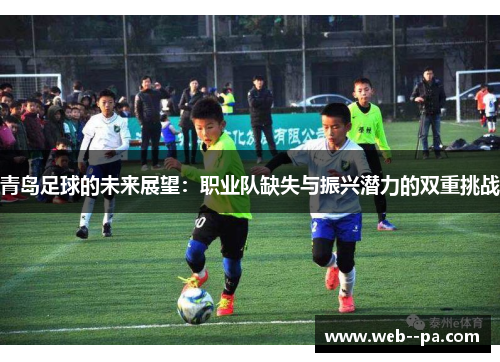 青岛足球的未来展望：职业队缺失与振兴潜力的双重挑战