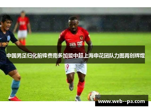 中国男足归化前锋费南多加盟中超上海申花团队力图再创辉煌