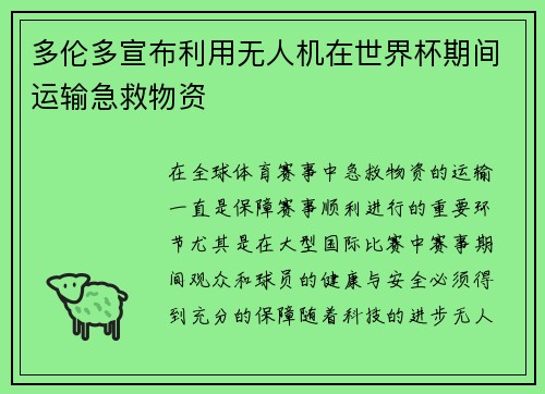 多伦多宣布利用无人机在世界杯期间运输急救物资