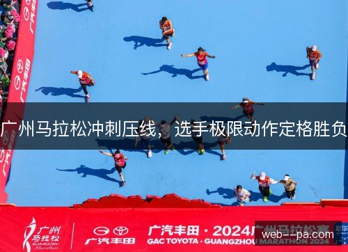 广州马拉松冲刺压线,选手极限动作定格胜负 广州马拉松冲刺压线,选手极限动作定格胜负